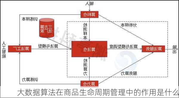 大数据算法在商品生命周期管理中的作用是什么