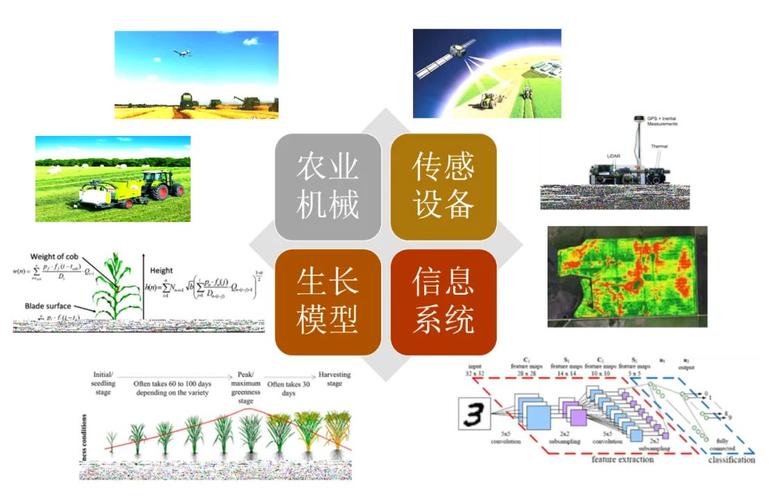 莉莉品牌的未来发展方向是什么