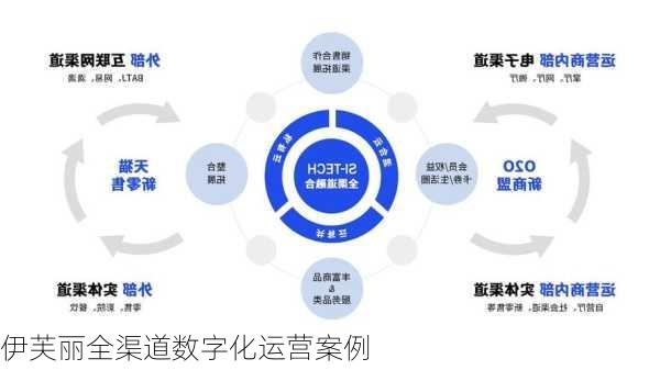 伊芙丽全渠道数字化运营案例