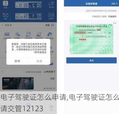 电子驾驶证怎么申请,电子驾驶证怎么申请交管12123