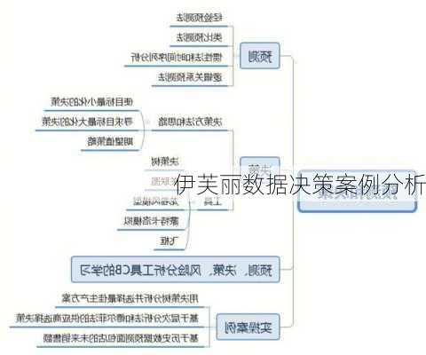 伊芙丽数据决策案例分析