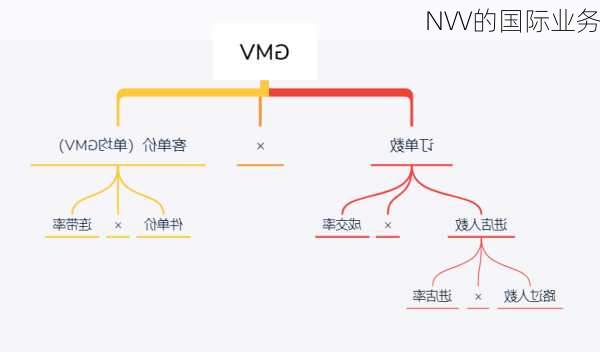 NVV的国际业务