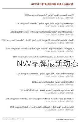 NVV品牌最新动态