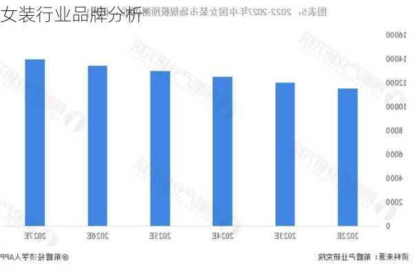 女装行业品牌分析