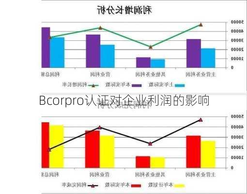 Bcorpro认证对企业利润的影响