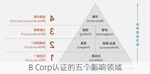 B Corp认证的五个影响领域