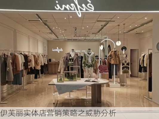 伊芙丽实体店营销策略之威胁分析