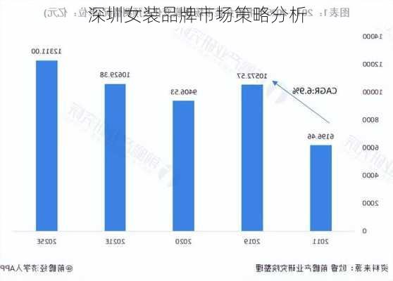 深圳女装品牌市场策略分析