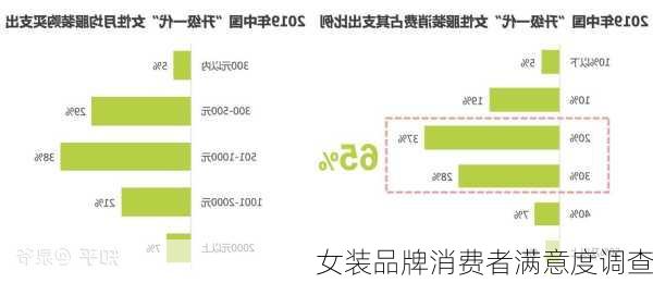 女装品牌消费者满意度调查