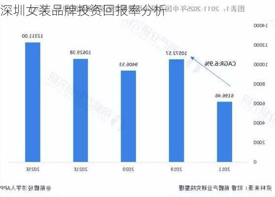 深圳女装品牌投资回报率分析