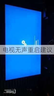 电视无声重启建议