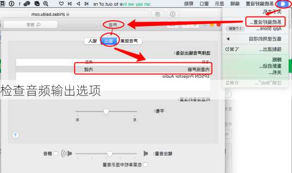 检查音频输出选项