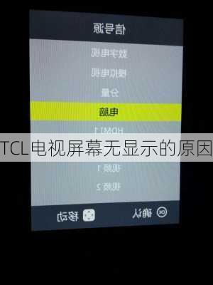 TCL电视屏幕无显示的原因