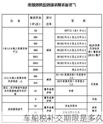 车船税补交期限是多久