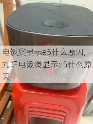 电饭煲显示e5什么原因,九阳电饭煲显示e5什么原因