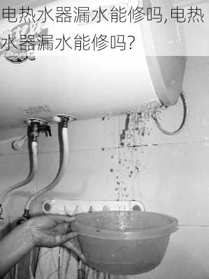 电热水器漏水能修吗,电热水器漏水能修吗?