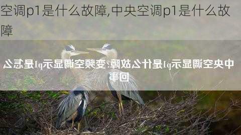 空调p1是什么故障,中央空调p1是什么故障