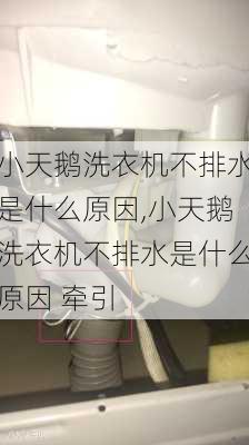 小天鹅洗衣机不排水是什么原因,小天鹅洗衣机不排水是什么原因 牵引