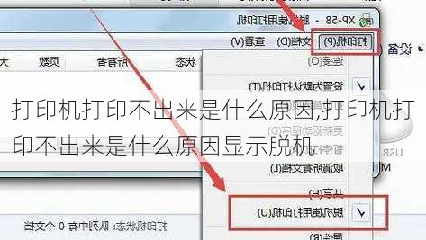 打印机打印不出来是什么原因,打印机打印不出来是什么原因显示脱机