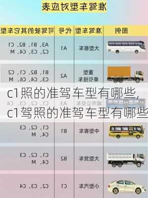 c1照的准驾车型有哪些,c1驾照的准驾车型有哪些