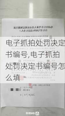 电子抓拍处罚决定书编号,电子抓拍处罚决定书编号怎么填