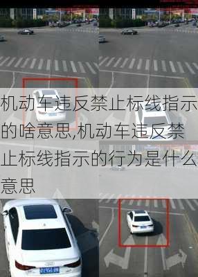 机动车违反禁止标线指示的啥意思,机动车违反禁止标线指示的行为是什么意思