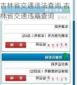 吉林省交通违法查询,吉林省交通违章查询