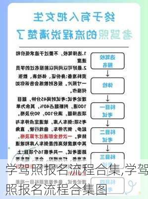 学驾照报名流程合集,学驾照报名流程合集图