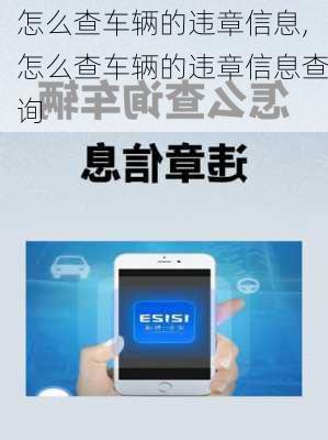 怎么查车辆的违章信息,怎么查车辆的违章信息查询