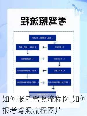 如何报考驾照流程图,如何报考驾照流程图片