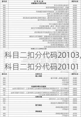 科目二扣分代码20103,科目二扣分代码20101