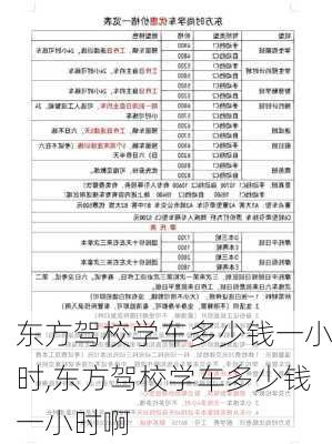 东方驾校学车多少钱一小时,东方驾校学车多少钱一小时啊