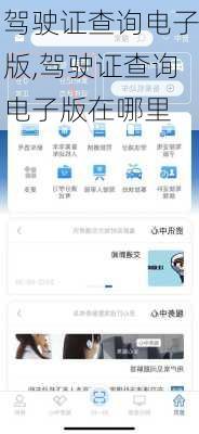 驾驶证查询电子版,驾驶证查询电子版在哪里