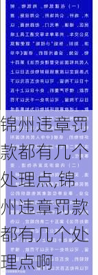 锦州违章罚款都有几个处理点,锦州违章罚款都有几个处理点啊