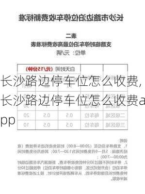 长沙路边停车位怎么收费,长沙路边停车位怎么收费app