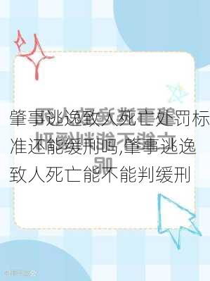 肇事逃逸致人死亡处罚标准还能缓刑吗,肇事逃逸致人死亡能不能判缓刑