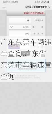 广东东莞车辆违章查询,广东省东莞市车辆违章查询