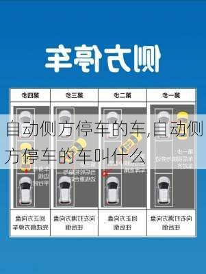 自动侧方停车的车,自动侧方停车的车叫什么