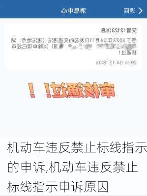 机动车违反禁止标线指示的申诉,机动车违反禁止标线指示申诉原因