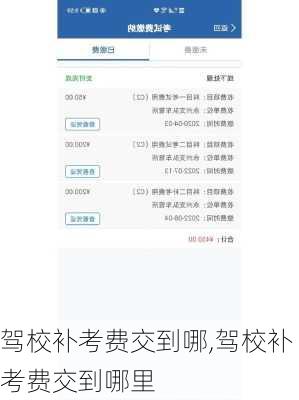 驾校补考费交到哪,驾校补考费交到哪里