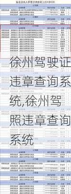 徐州驾驶证违章查询系统,徐州驾照违章查询系统