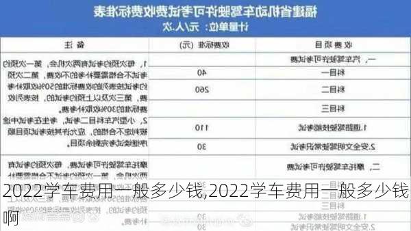 2022学车费用一般多少钱,2022学车费用一般多少钱啊