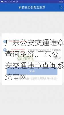 广东公安交通违章查询系统,广东公安交通违章查询系统官网