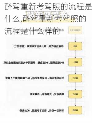 醉驾重新考驾照的流程是什么,醉驾重新考驾照的流程是什么样的