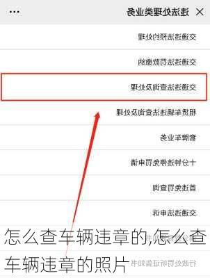 怎么查车辆违章的,怎么查车辆违章的照片