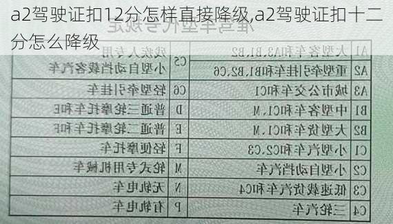 a2驾驶证扣12分怎样直接降级,a2驾驶证扣十二分怎么降级