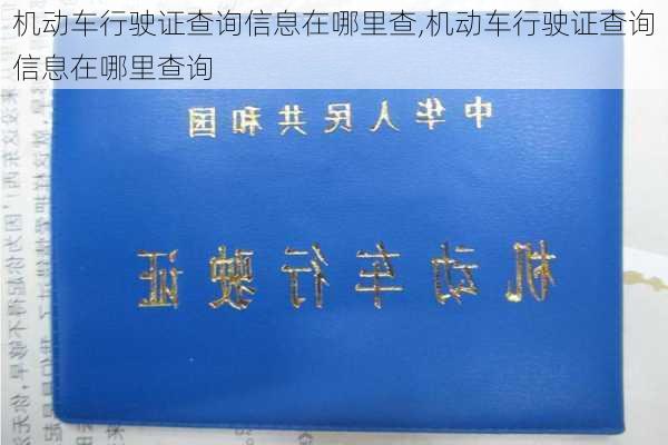 机动车行驶证查询信息在哪里查,机动车行驶证查询信息在哪里查询