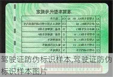 驾驶证防伪标识样本,驾驶证防伪标识样本图片