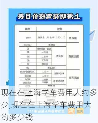 现在在上海学车费用大约多少,现在在上海学车费用大约多少钱