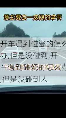 开车遇到碰瓷的怎么办,但是没碰到,开车遇到碰瓷的怎么办,但是没碰到人